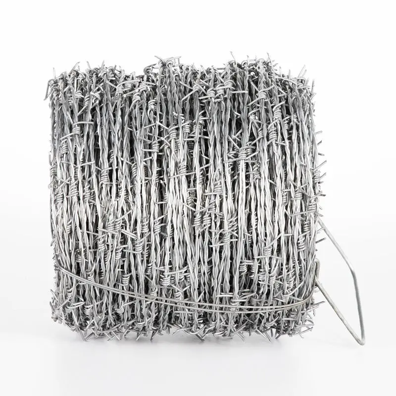 Barbed Wire (2).jpg