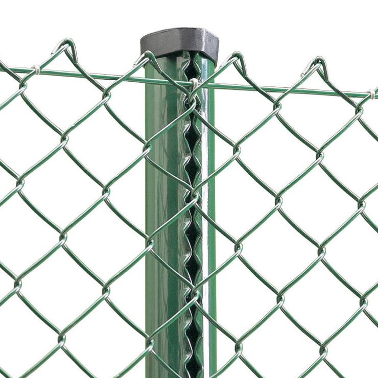 Chain Link Fence (5).jpg