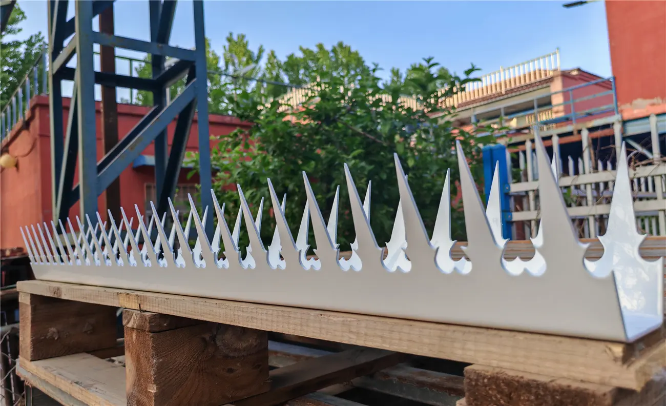Wall Spikes (1).jpg